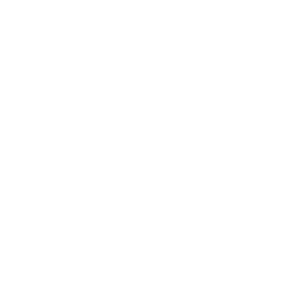 Expert Support