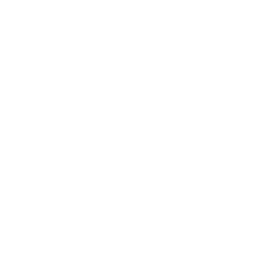 Icon-R&D