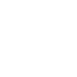 Icon-Service Network Service Network