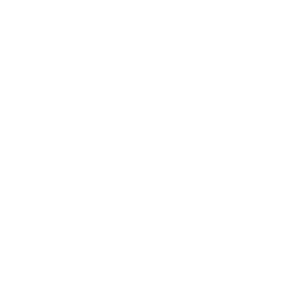 Icon-Value